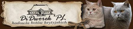 Hodowla Kotów Brytyjskich DiDworek*Pl