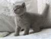 coco10_small.jpg