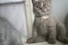 coco15_small.jpg