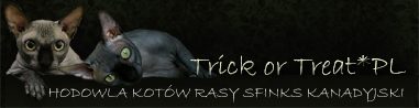 Trick or Treat*PL Hodowla Kotw Spinx